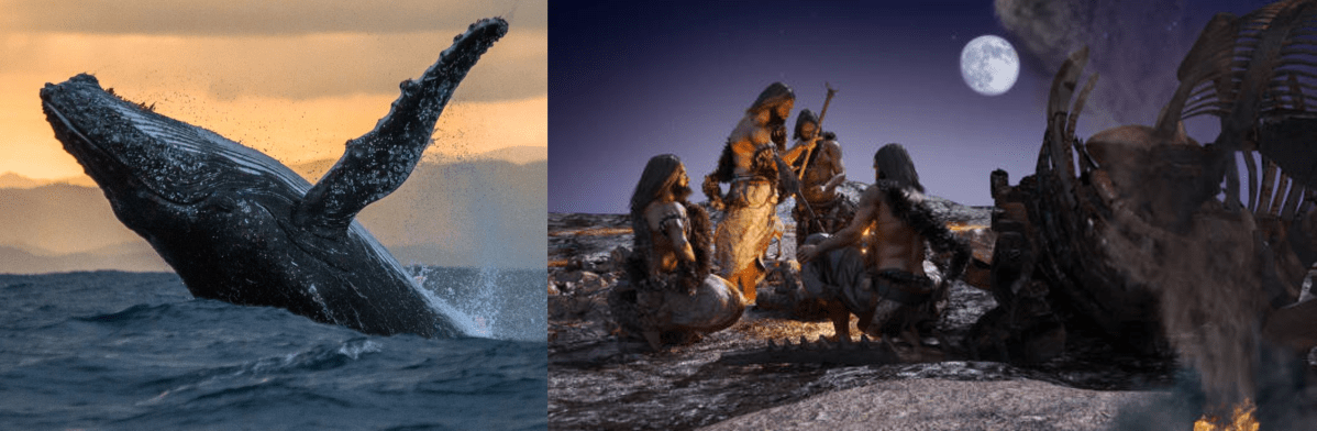 Track Down the Evolutionally Mutations of Whales and&nbsp;Human