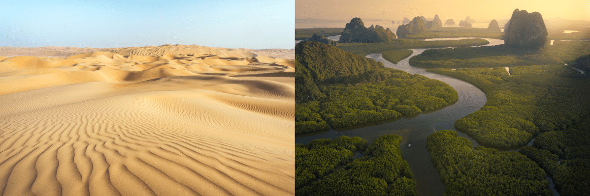 Fertilizer from Sahara to Amazon&nbsp;rainforest