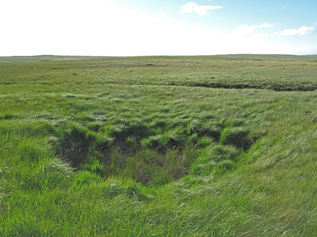 Sinkhole in China with forest.        —— The Lost&nbsp;World?