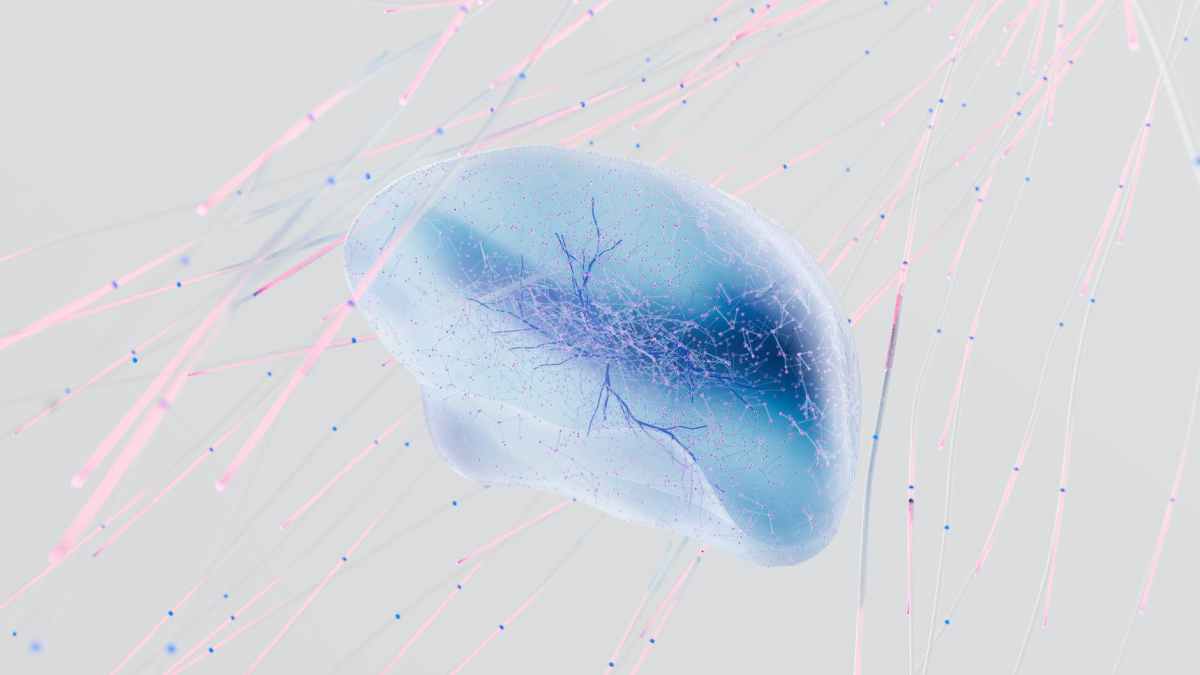 ミラーニューロン。 それは意識や精神にとって重要な要素なのでしょうか、それとも単なる情報処理装置なのでしょうか？